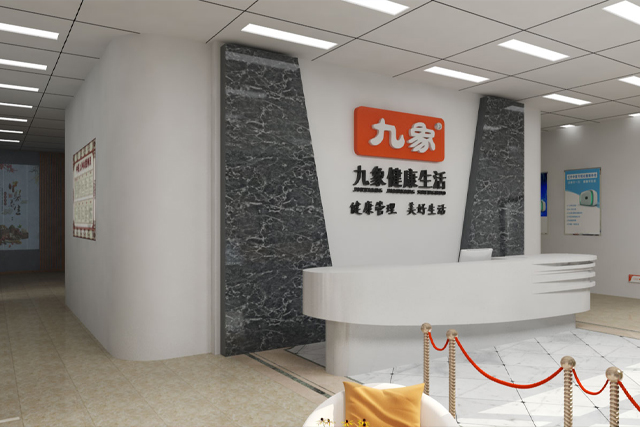 九象